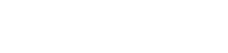 Pontem Solutions