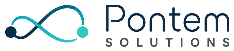 Pontem Solutions